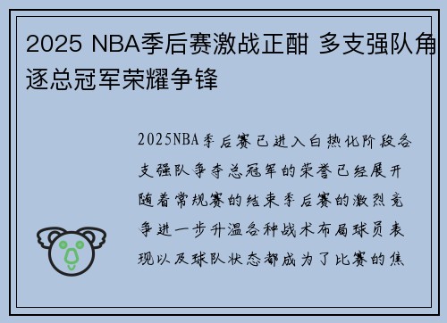 2025 NBA季后赛激战正酣 多支强队角逐总冠军荣耀争锋