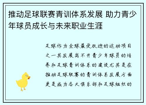 推动足球联赛青训体系发展 助力青少年球员成长与未来职业生涯