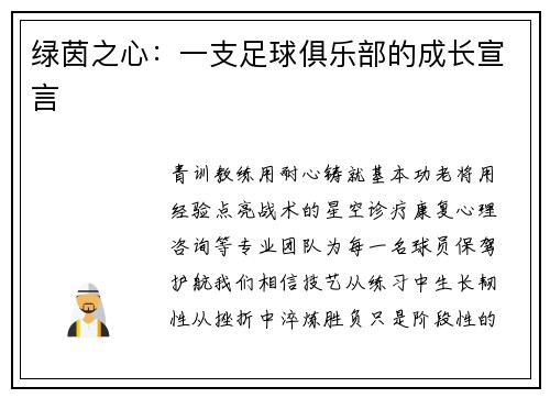 绿茵之心：一支足球俱乐部的成长宣言